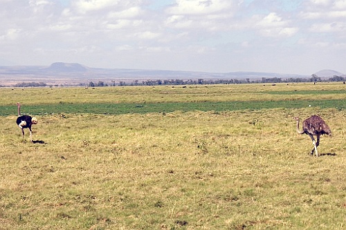 Kenia (152)